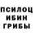 Каннабис сатива Guna Puna