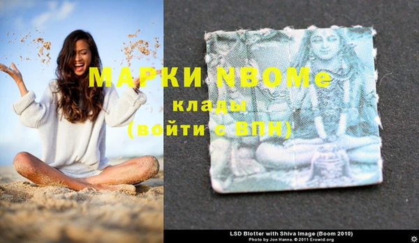 индика Алексеевка