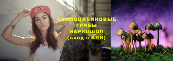ПСИЛОЦИБИНОВЫЕ ГРИБЫ Алексин