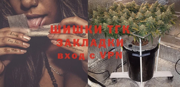 гидропоника Алзамай