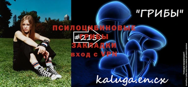индика Алексеевка