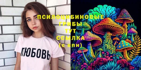 индика Алексеевка