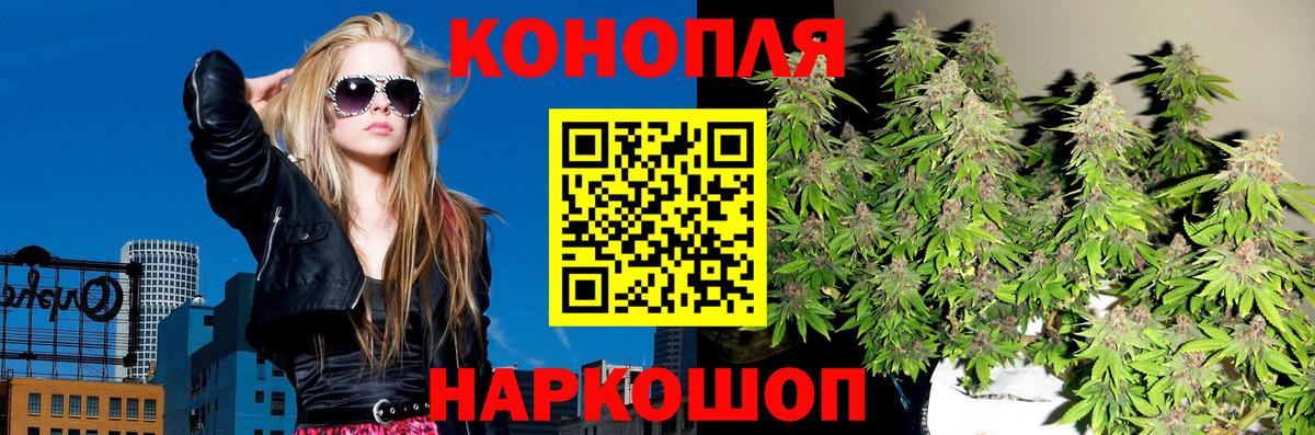 Бошки Шишки конопля Бахчисарай